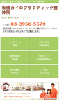 Mobile Screenshot of e-seitai.co.jp